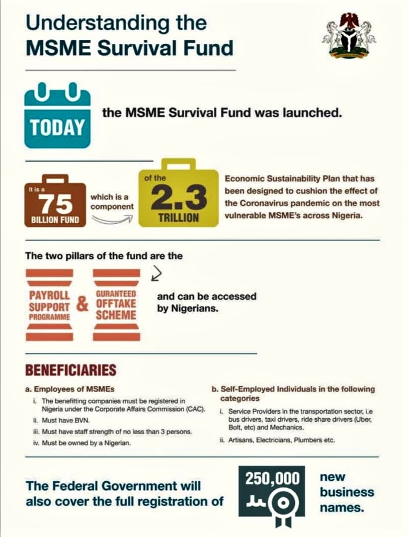 Msme Survival Fund Ensuring Nigerian Msmes Survive Terraskills