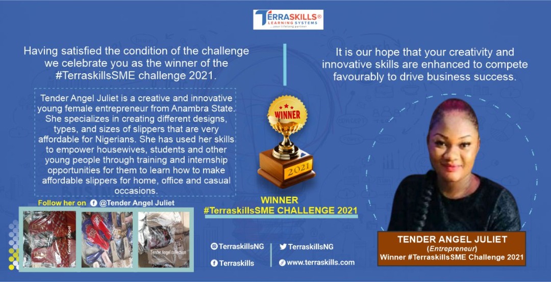 Winner of the #TerraskillsSME Challenge 2021