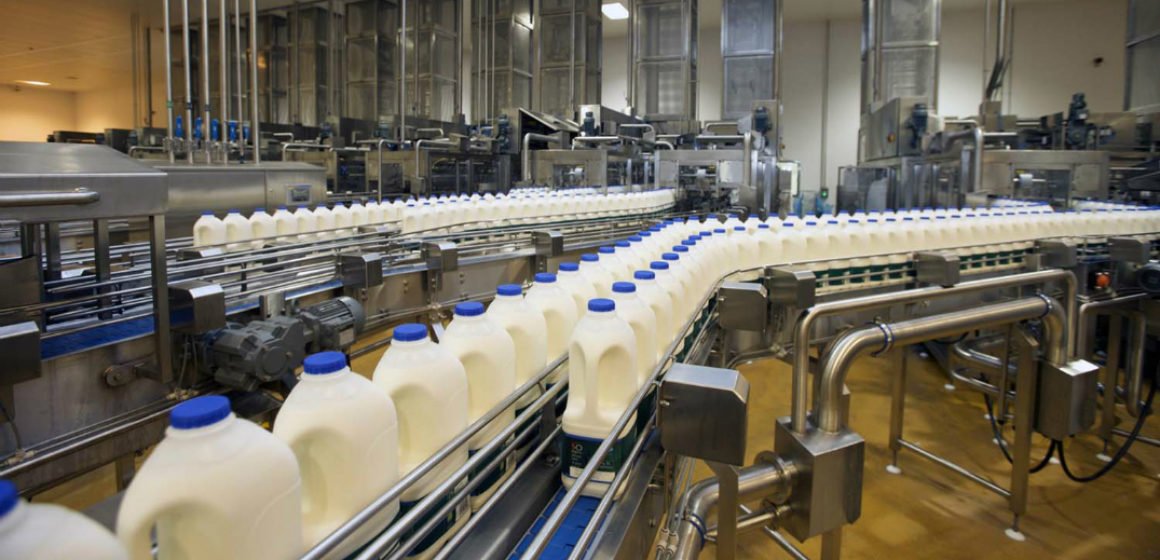 Yoghurt Production Opens Opportunities for Entrepreneurs - Terraskills ...