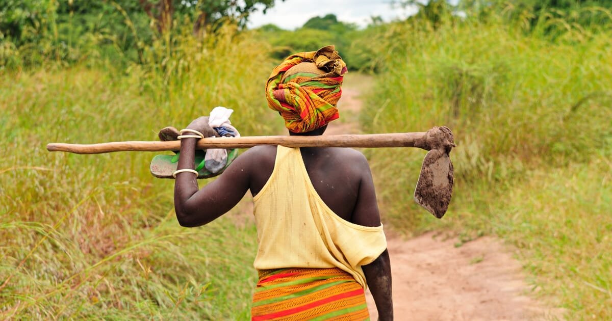 Women In agriculture