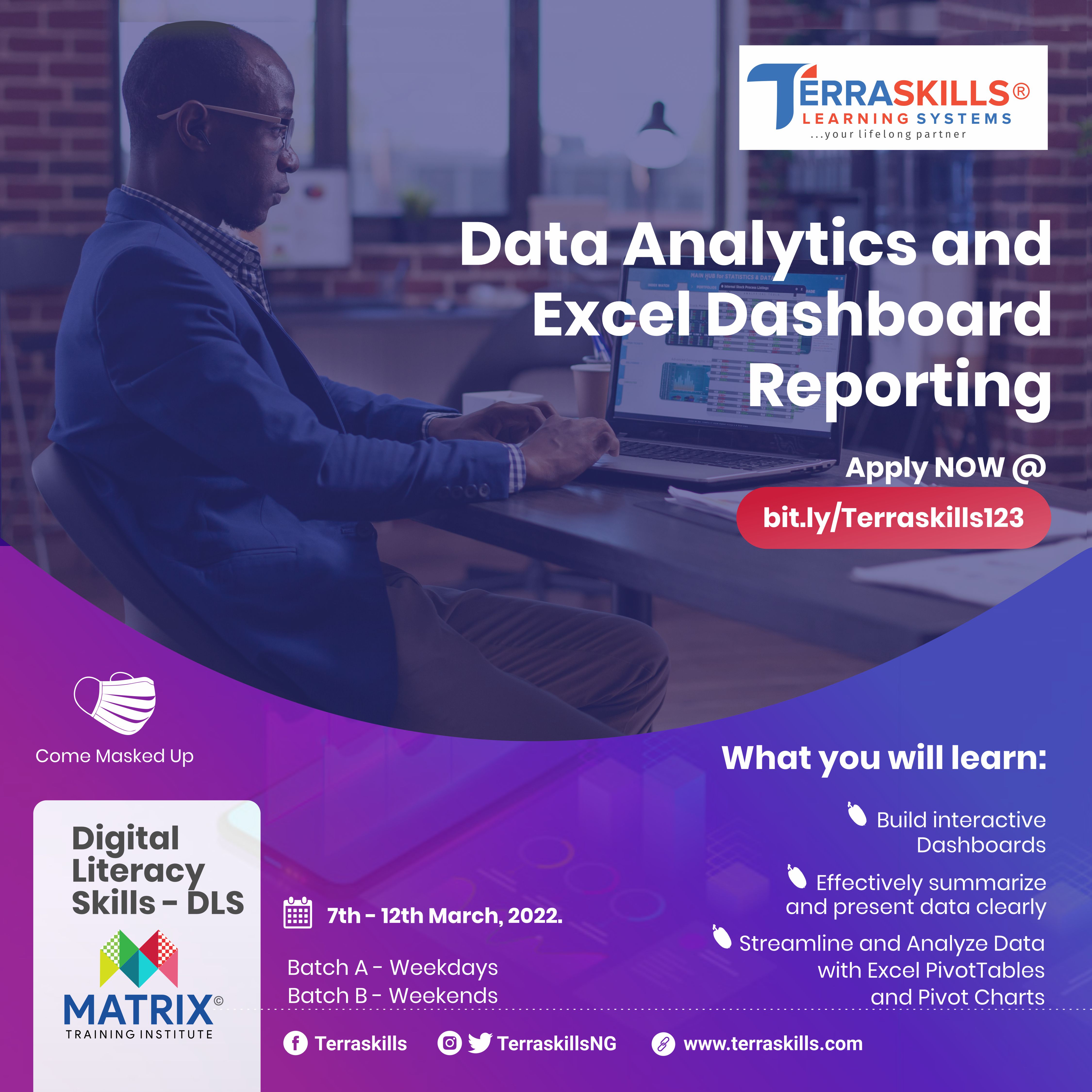 data-analytics-and-excel-dashboard-reporting-terraskills